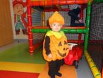 DSC08263.jpg
