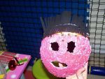 100_1083.jpg
